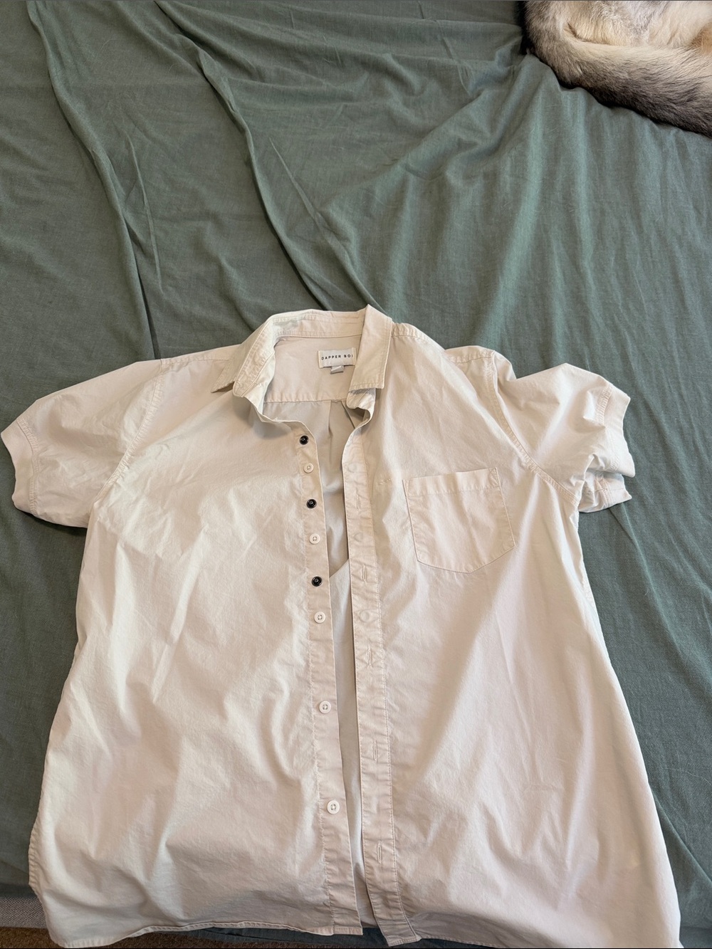 Dapper Boi Light Beige Short-Sleeve Button-Down Shirt